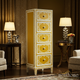 Hand-Painted Tall Chest of Drawers | Luxury Handmade Tallboy